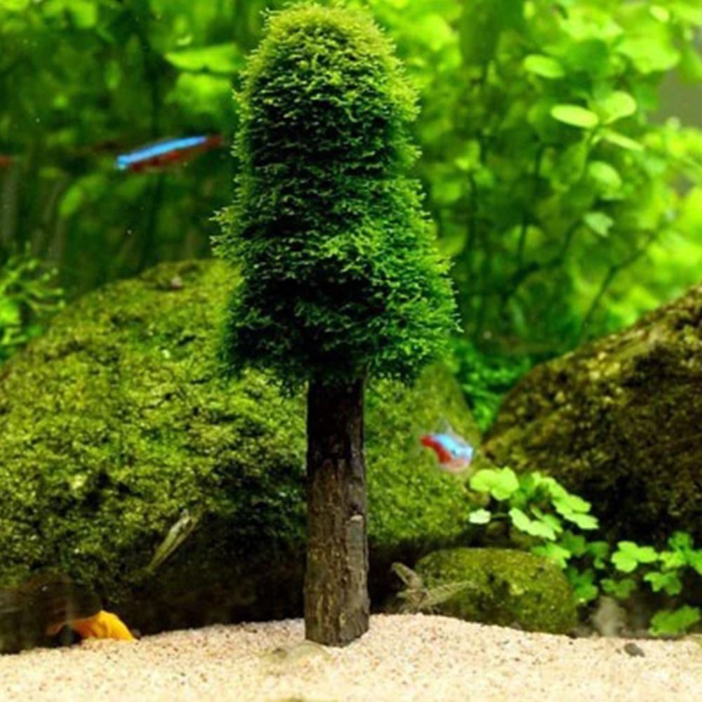 Planted Aquarium Moss - ต้นคริสต์มาสจำลอง ต้นไม้ประดับตู้ปลา ต้นไม้ขนาดเล็ก ของตกแต่งตู้ปลา อุปกรณ์ตกแต่งตู้ปลา