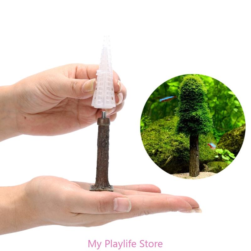 Planted Aquarium Moss - ตู้ปลามอสตกแต่งตู้ปลาที่ตั้งต้นไม้สร้างต้นไม้ขนาดเล็กของคุณเองภูมิทัศน์ป่าไม้ Grow พืชน้ำ