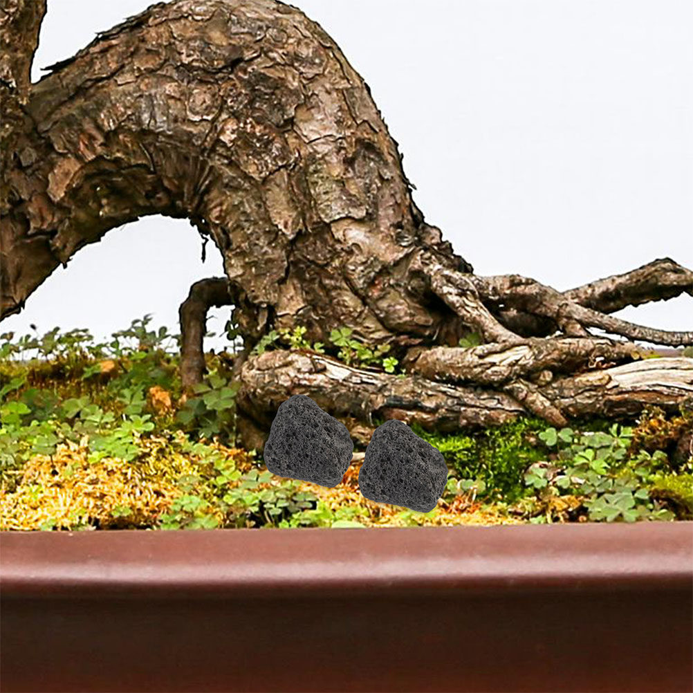 Aquarium Planted Tank Filter - หินภูเขาไฟธรรมชาติขนาดเล็กสำหรับตู้ปลา กระถางต้นไม้ กรองน้ำใส ช่วยเร่งการไนตริฟิเคชั่น