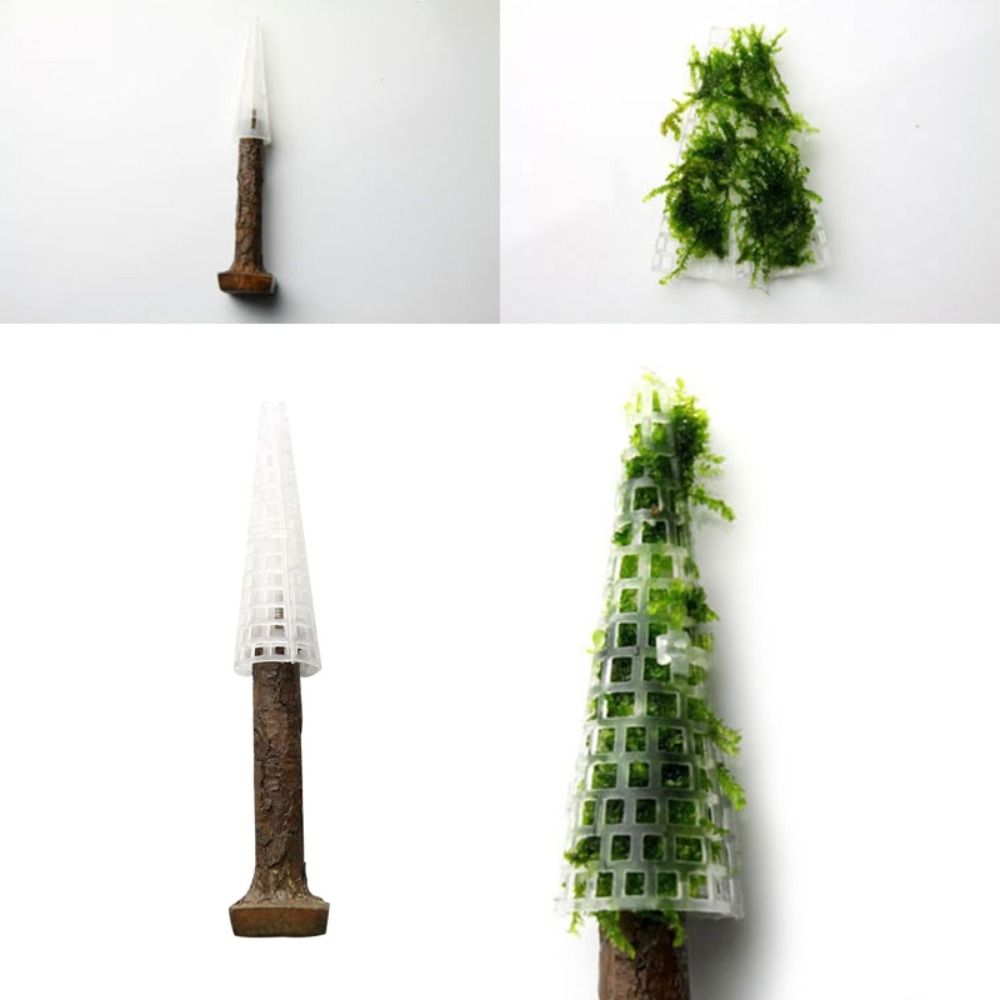 ต้นคริสต์มาสจำลอง ต้นไม้ประดับ - Planted Aquarium Moss บทวิจารณ์และราคา