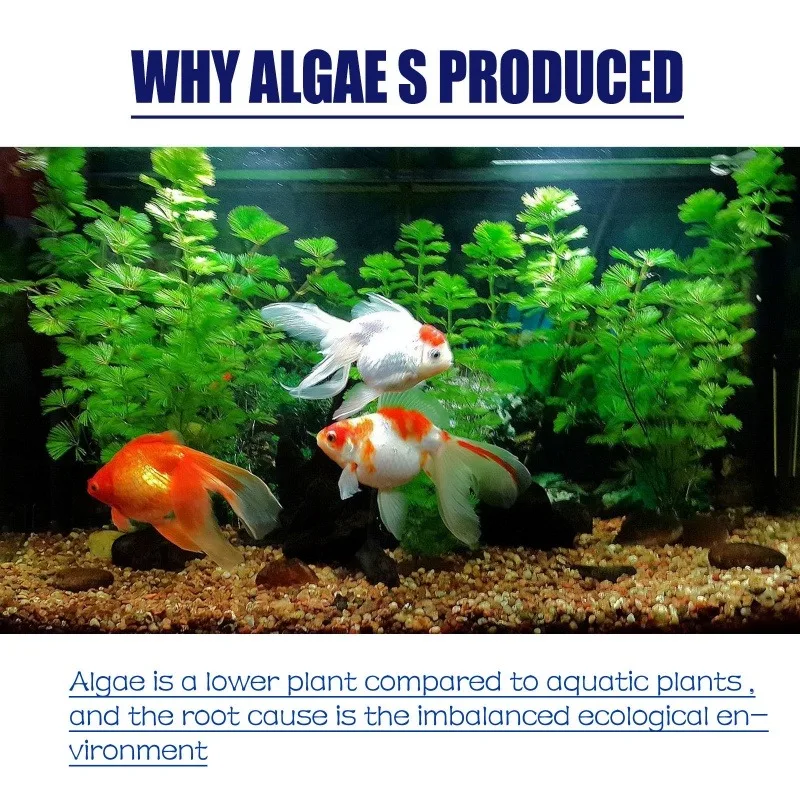 สารกำจัดสาหร่ายประสิทธิภาพสูง  - Planted Aquarium Moss บทวิจารณ์และราคา