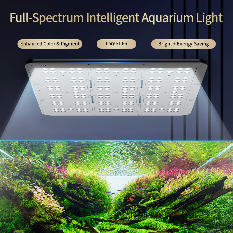 ไฟเลี้ยงพรรณไม้น้ำ KASSRAY T20 - Planted Aquarium Uv Light บทวิจารณ์และราคา