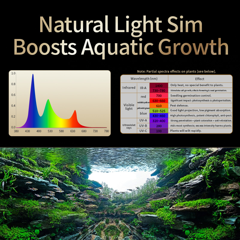 ไฟเลี้ยงพรรณไม้น้ำ KASSRAY T20 - Planted Aquarium Uv Light บทวิจารณ์และราคา