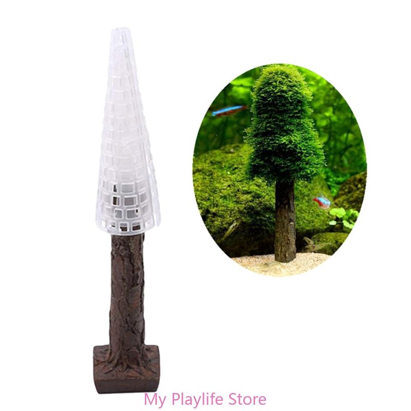 ตู้ปลามอสตกแต่งตู้ปลาที่ตั้งต้ - Planted Aquarium Moss บทวิจารณ์และราคา