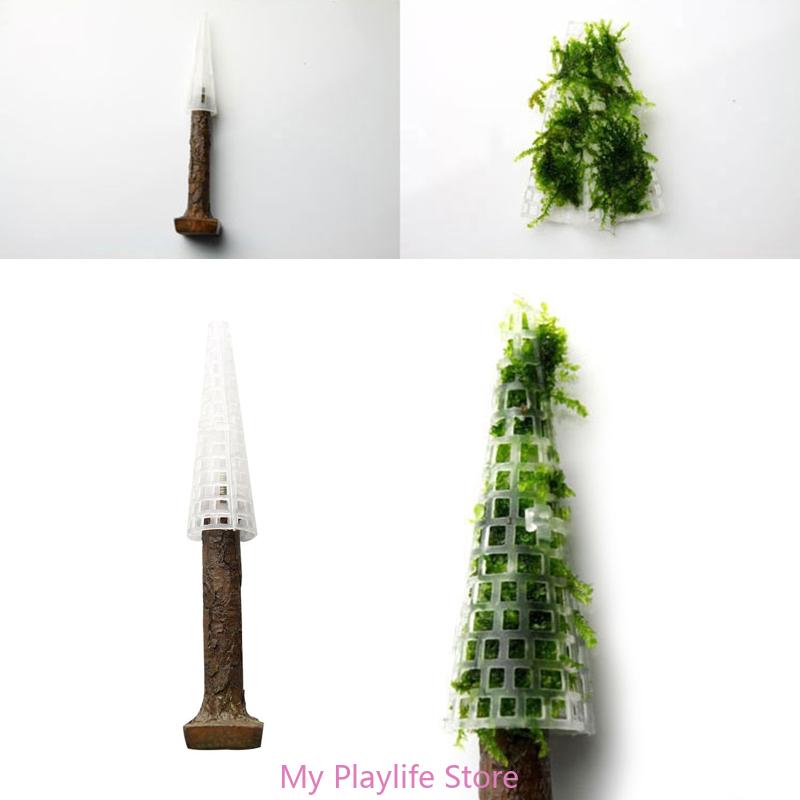 ตู้ปลามอสตกแต่งตู้ปลาที่ตั้งต้ - Planted Aquarium Moss บทวิจารณ์และราคา