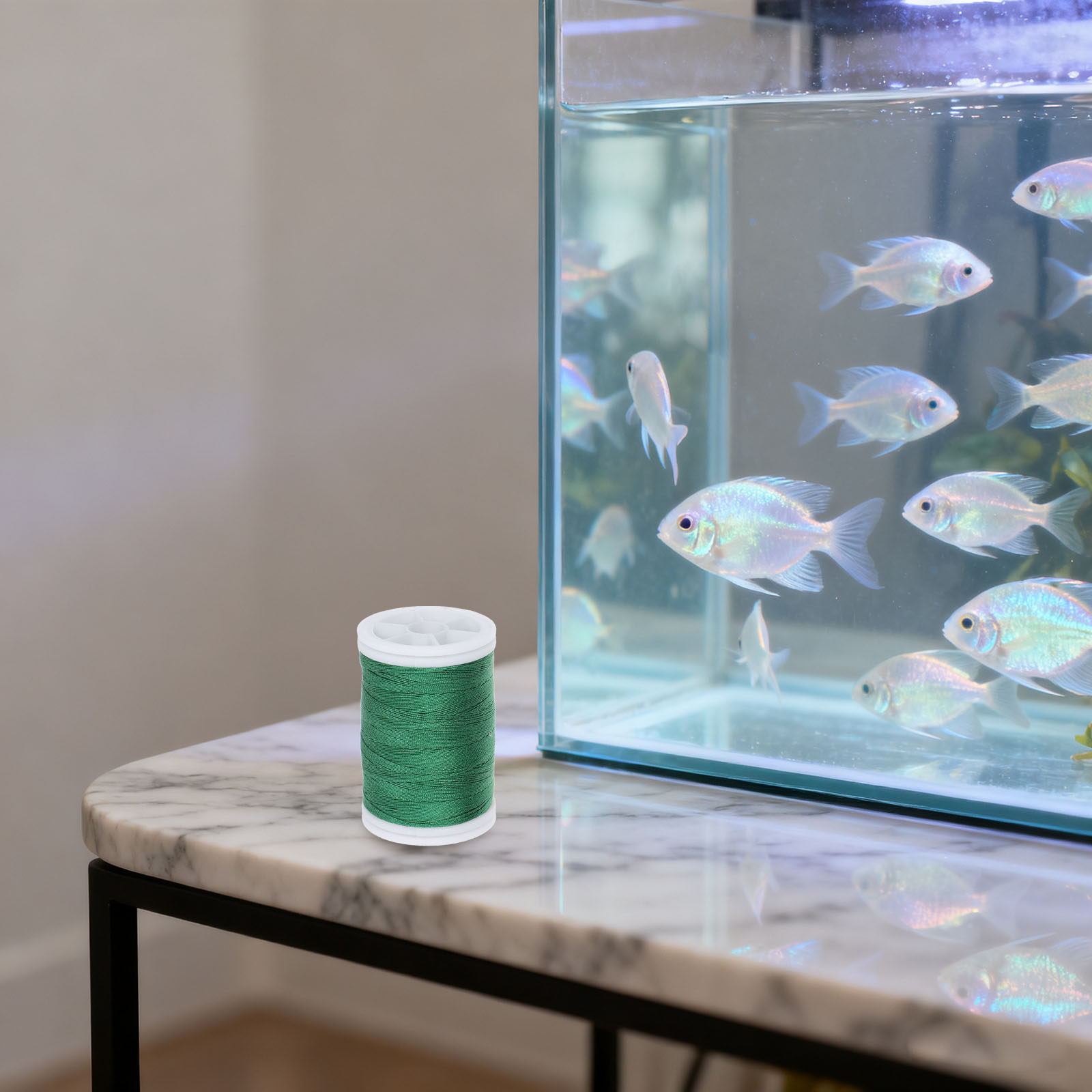พืชมอสส์สำหรับตู้ปลาแบบแขวน พร - Planted Aquarium Moss บทวิจารณ์และราคา