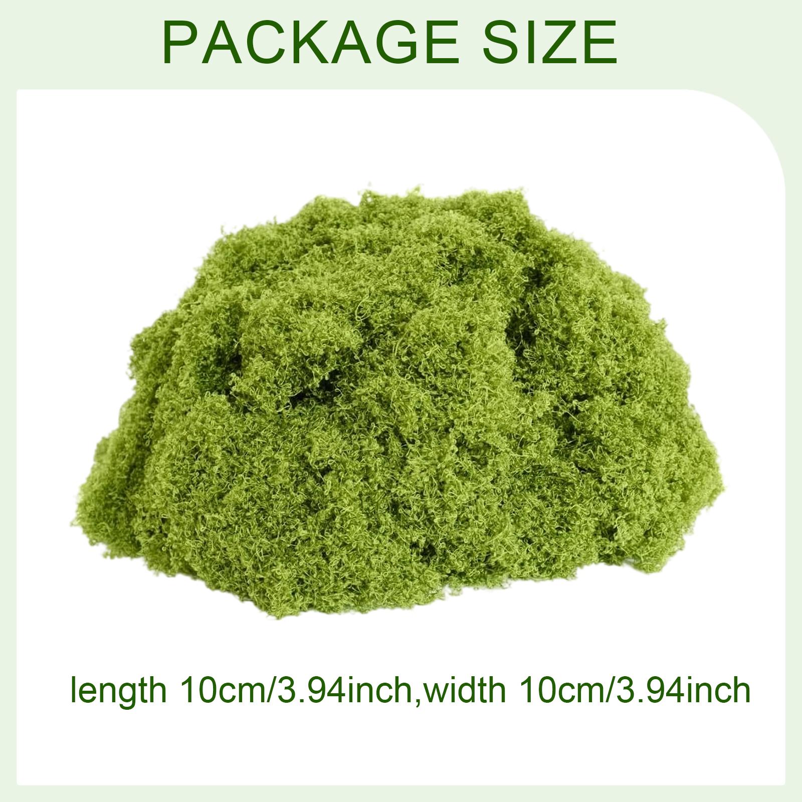 พืชสีเขียวเทียมสำหรับปลูกกลางแ - Planted Aquarium Moss บทวิจารณ์และราคา