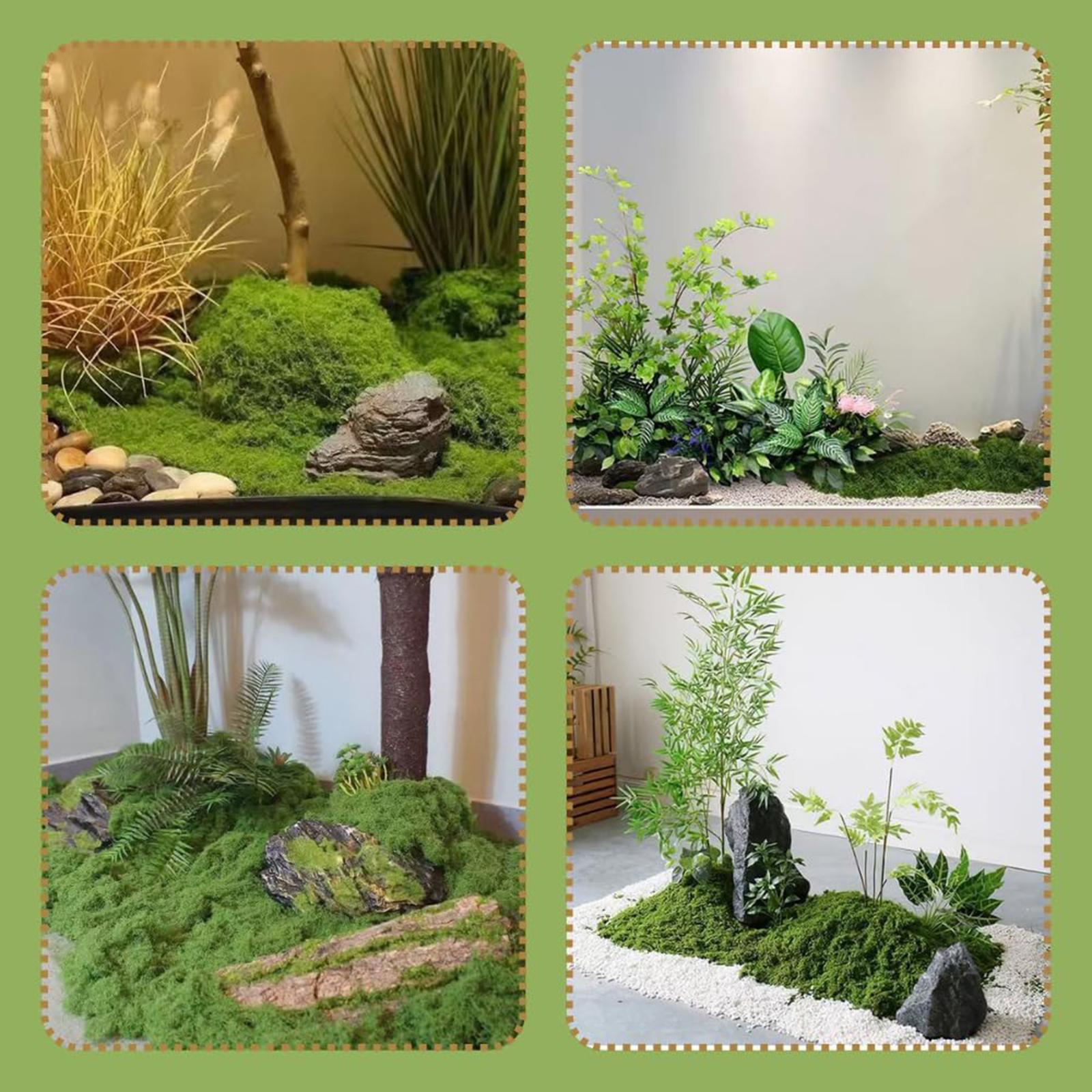 พืชสีเขียวเทียมสำหรับปลูกกลางแ - Planted Aquarium Moss บทวิจารณ์และราคา
