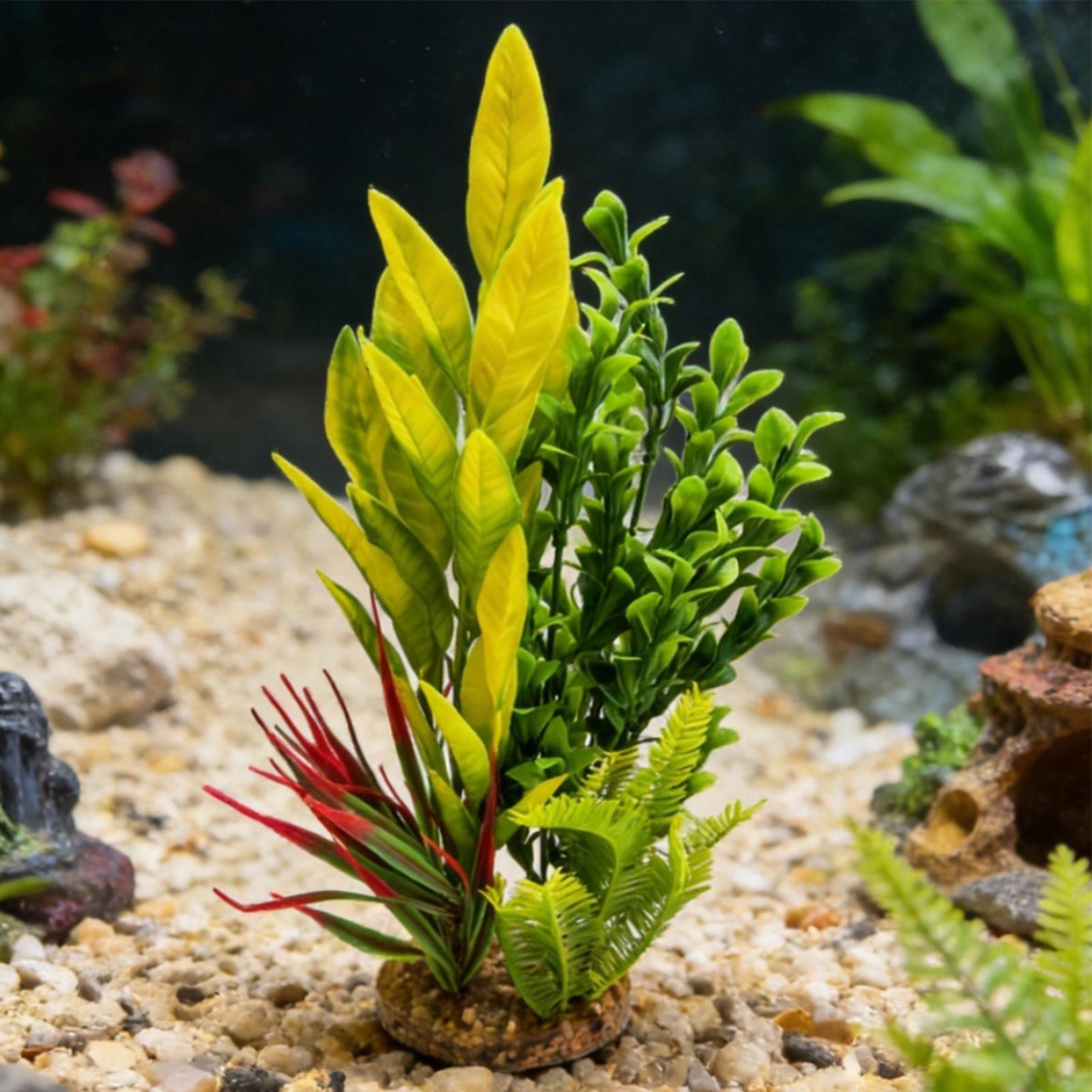 ต้นไม้ประดิษฐ์สำหรับตกแต่งตู้ป - Planted Aquarium For Beginners บทวิจารณ์และราคา