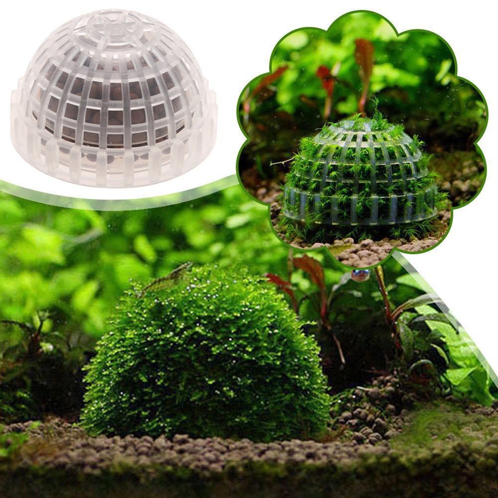 1/2/3/4/5 ชิ้น ของตกแต่งตู้ปลา - Planted Aquarium Moss บทวิจารณ์และราคา