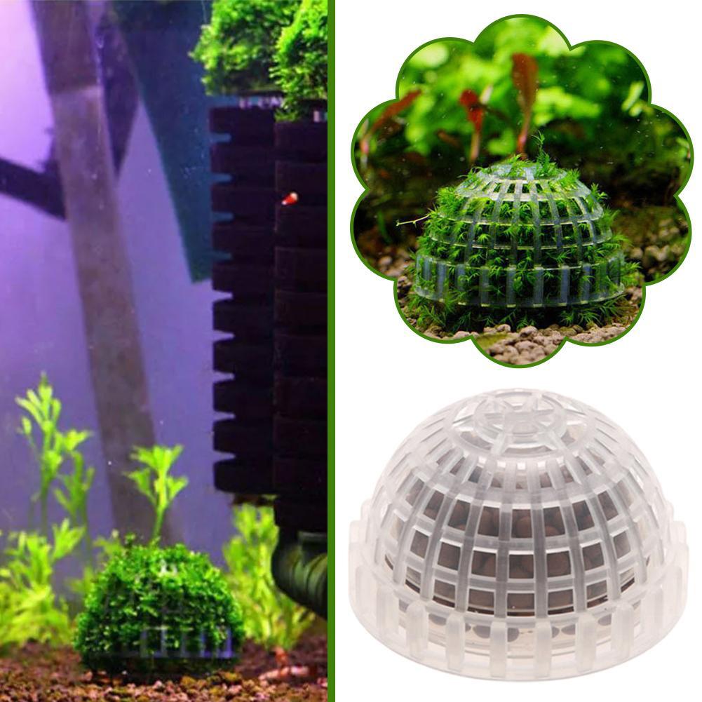 1/2/3/4/5 ชิ้น ของตกแต่งตู้ปลา - Planted Aquarium Moss บทวิจารณ์และราคา