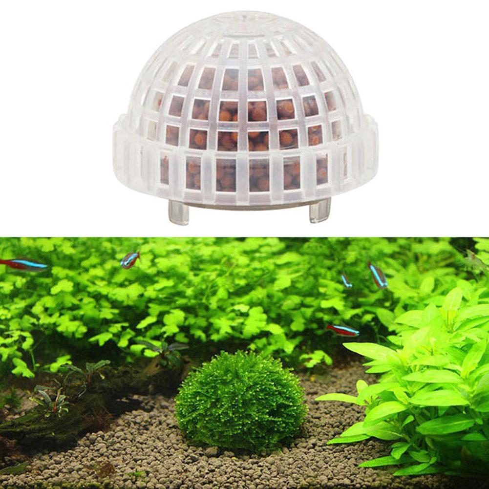 1/2/3/4/5 ชิ้น ของตกแต่งตู้ปลา - Planted Aquarium Moss บทวิจารณ์และราคา