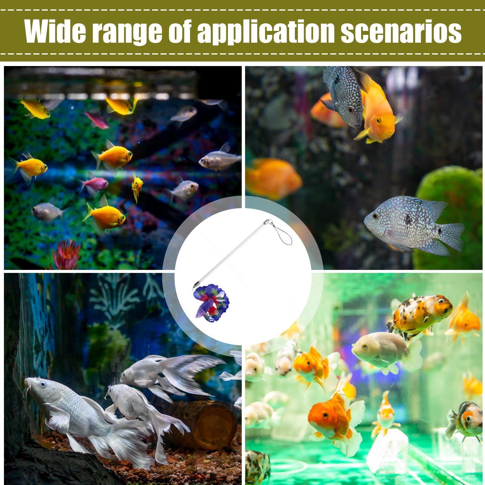 ไม้ฝึกปลาเบต้า สำหรับการเลี้ยง - Planted Aquarium For Beginners บทวิจารณ์และราคา