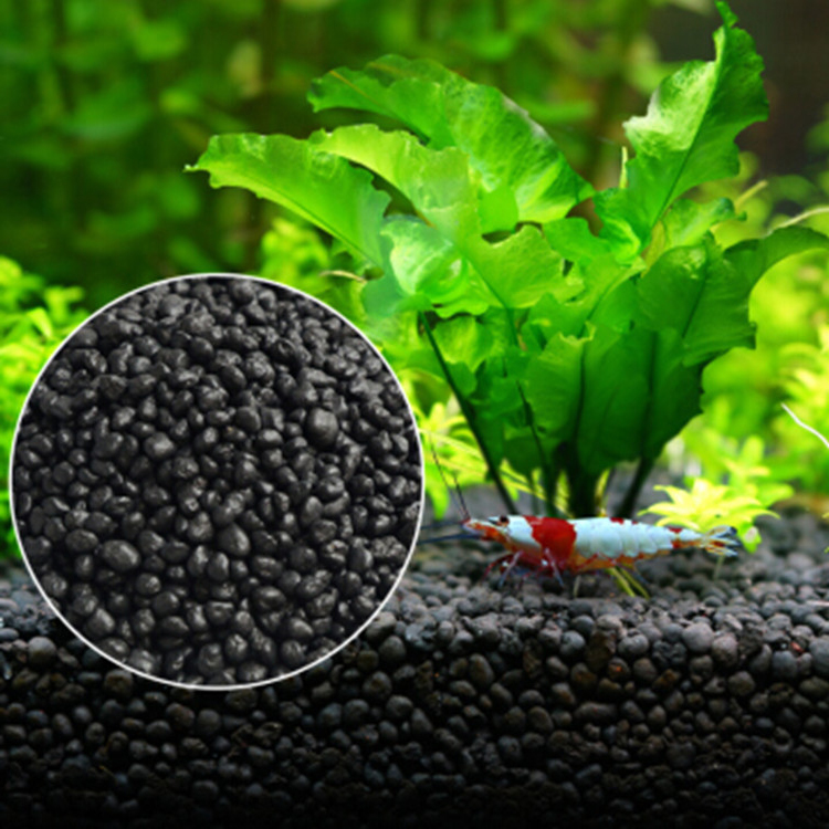 พิพิธภัณฑ์สัตว์น้ำเมล็ดพืชดิน  - Planted Aquarium Moss บทวิจารณ์และราคา