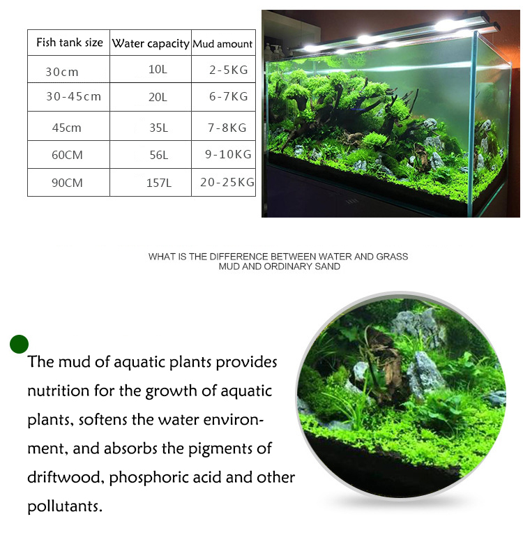พิพิธภัณฑ์สัตว์น้ำเมล็ดพืชดิน  - Planted Aquarium Moss บทวิจารณ์และราคา