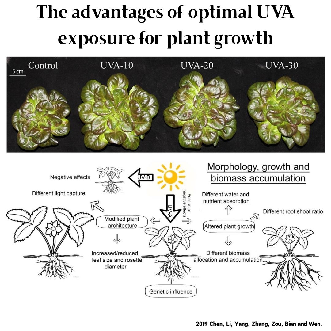 ไฟปลูกพืชน้ำรุ่น Week Aqua M S - Planted Aquarium Uv Light บทวิจารณ์และราคา