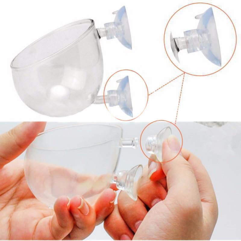 ถ้วยแก้วทรงกระบอกสำหรับกระถางต - Planted Aquarium Moss บทวิจารณ์และราคา