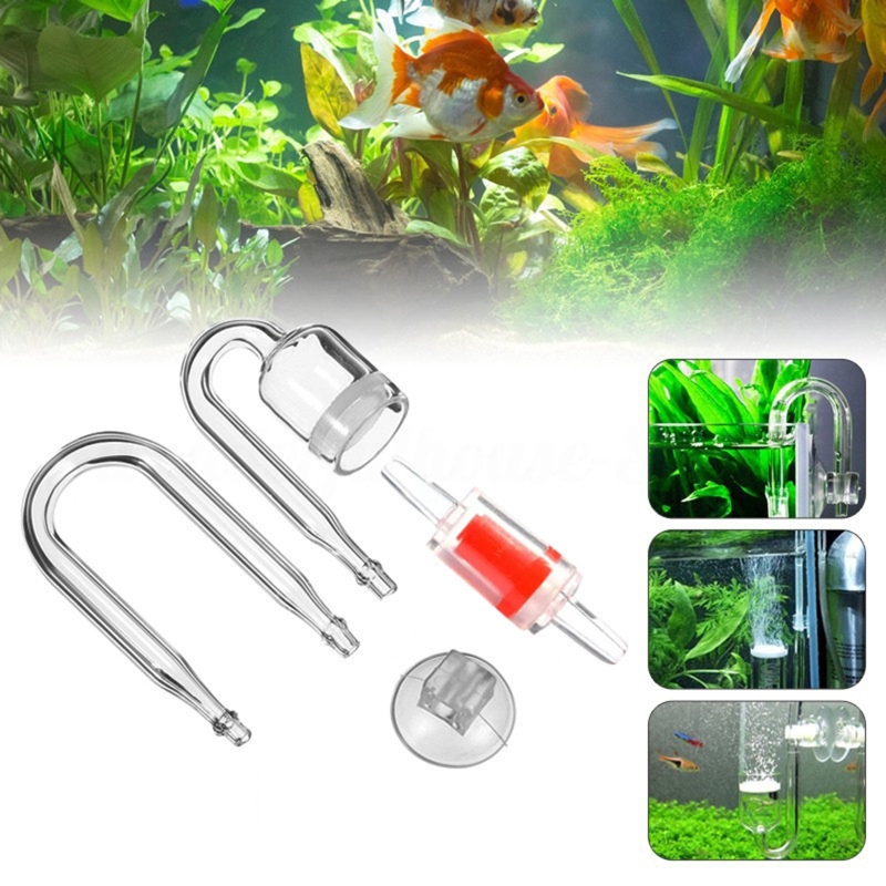 DIY ชุดกระจาย CO2 4ชิ้นสำหรับต - Planted Aquarium Moss บทวิจารณ์และราคา