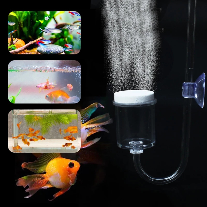 DIY ชุดกระจาย CO2 4ชิ้นสำหรับต - Planted Aquarium Moss บทวิจารณ์และราคา